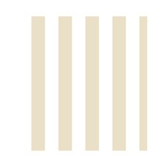 Vertical Stripes Front Inside