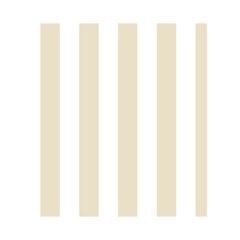 Vertical Stripes Back Inside