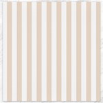 Vertical Stripes - White and Almond Brown Canvas 12  x 12 