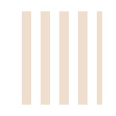 Vertical Stripes Front Inside
