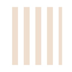 Vertical Stripes Back Inside