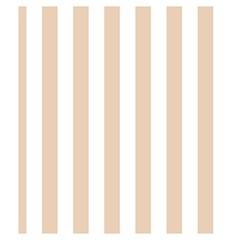 Vertical Stripes Back