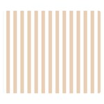 Vertical Stripes - White and Pastel Brown Double Sided Flano Blanket (Small)