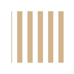 Vertical Stripes Front Inside