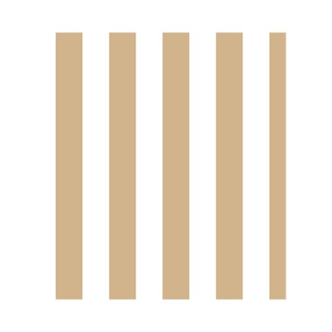 Vertical Stripes Back Inside