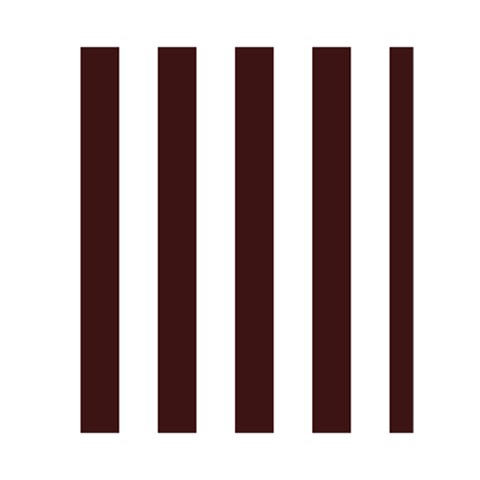 Vertical Stripes Back Inside