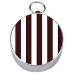 Vertical Stripes - White and Dark Sienna Brown Silver Compass