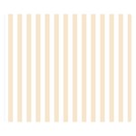 Vertical Stripes - White and Champagne Orange Double Sided Flano Blanket (Small)