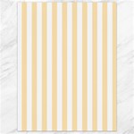 Vertical Stripes - White and Peach Orange Canvas 18  x 24 