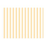 Vertical Stripes - White and Peach Orange Double Sided Flano Blanket (Mini)