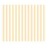 Vertical Stripes - White and Peach Orange Double Sided Flano Blanket (Small)