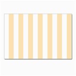 Vertical Stripes - White and Peach Orange Postcard 4  x 6 