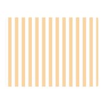 Vertical Stripes - White and Sunset Orange Double Sided Flano Blanket (Mini)