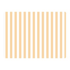 Vertical Stripes 35 x27  Blanket Back