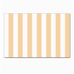 Vertical Stripes - White and Sunset Orange Postcard 5  x 7 