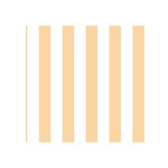 Vertical Stripes Back Cover