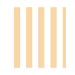 Vertical Stripes Front Inside