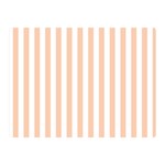 Vertical Stripes - White and Apricot Orange Double Sided Flano Blanket (Mini)