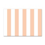 Vertical Stripes - White and Apricot Orange Sticker A4 (10 pack)