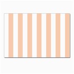 Vertical Stripes - White and Apricot Orange Postcard 4 x 6  (Pkg of 10)