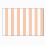 Vertical Stripes - White and Apricot Orange Postcard 5  x 7 