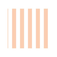 Vertical Stripes Front Cover