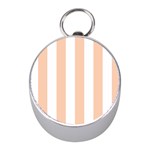 Vertical Stripes - White and Apricot Orange Silver Compass (Mini)