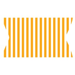 Vertical Stripes Waistband Front