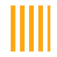 Vertical Stripes Front Inside