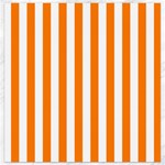 Vertical Stripes - White and Orange Canvas 12  x 12 