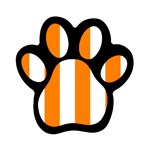 Vertical Stripes - White and Orange Magnet (Paw Print)