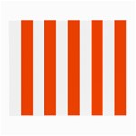 Vertical Stripes - White and Tangelo Orange Small Glasses Cloth