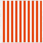 Vertical Stripes - White and Tangelo Orange Canvas 20  x 20 