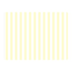 Vertical Stripes 35 x27  Blanket Back