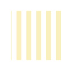 Vertical Stripes Back Cover