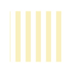 Vertical Stripes Back Inside