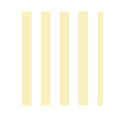 Vertical Stripes Front Inside