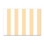 Vertical Stripes - White and Navajo White Yellow Sticker A4 (100 pack)