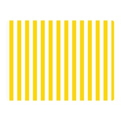 Vertical Stripes 35 x27  Blanket Back