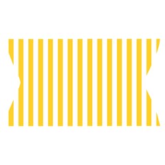 Vertical Stripes Waistband Front