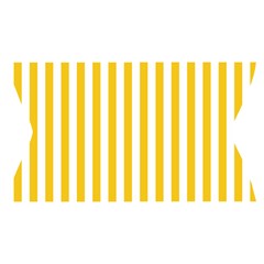 Vertical Stripes Waistband Front