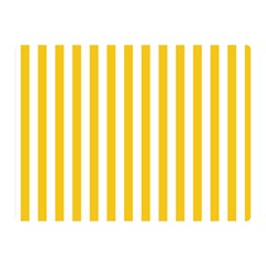 Vertical Stripes 35 x27  Blanket Back