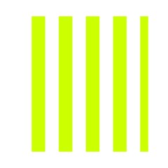 Vertical Stripes Front Inside