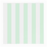 Vertical Stripes - White and Pale Green Medium Glasses Cloth (2 Sides)
