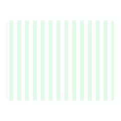 Vertical Stripes 35 x27  Blanket Back