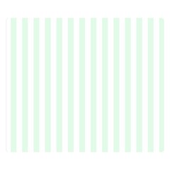 Vertical Stripes 50 x40  Blanket Back