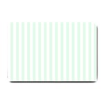 Vertical Stripes - White and Pale Green Small Doormat