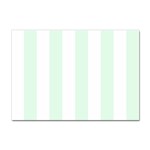 Vertical Stripes - White and Pale Green Sticker A4 (100 pack)