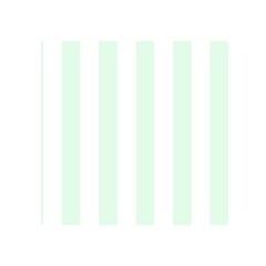 Vertical Stripes Front Inside