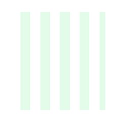 Vertical Stripes Back Inside